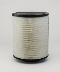 B125003 | Lọc Khí Donaldson, Primary Duralite