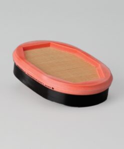 P785965 | Lọc Khí Donaldson, Safety